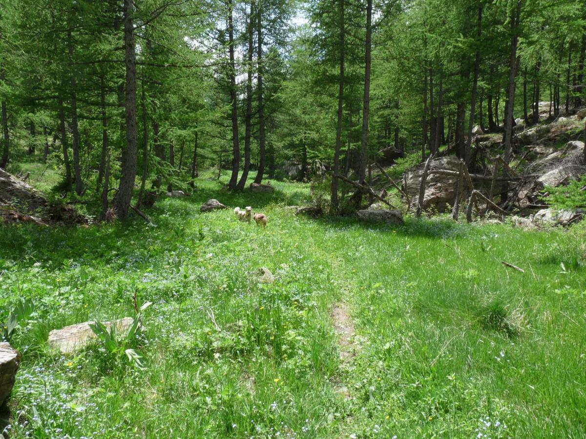 Les Marmottes D Estenc Екстериор снимка