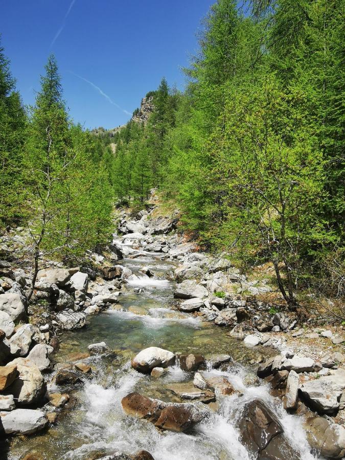 Les Marmottes D Estenc Екстериор снимка