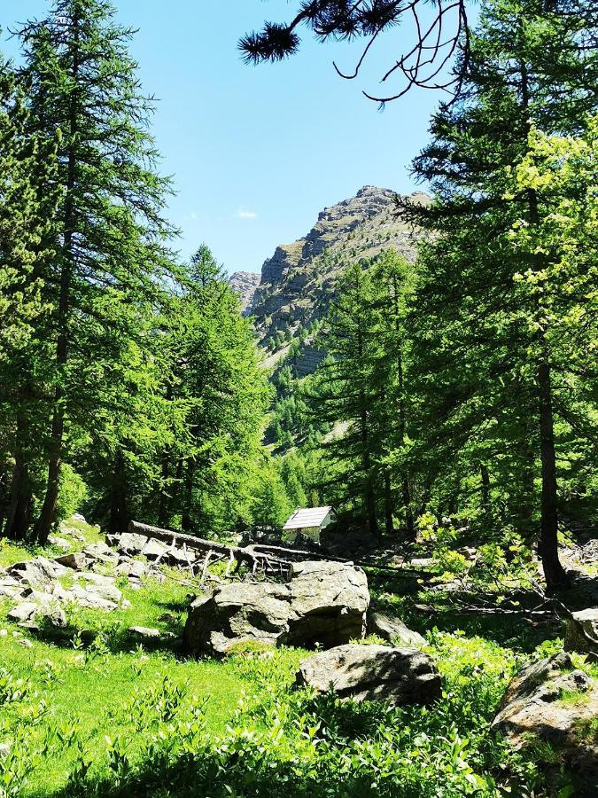 Les Marmottes D Estenc Екстериор снимка